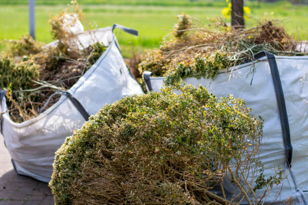 Best Residential Junk Removal  in Kidron, OH